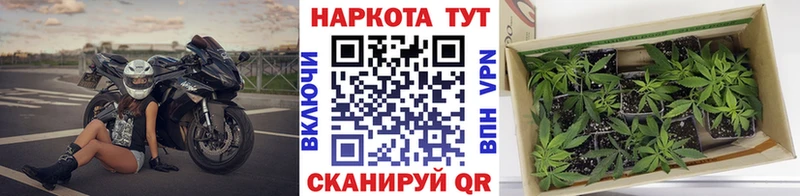 Наркотические вещества Мончегорск COCAIN  A PVP  Марихуана 