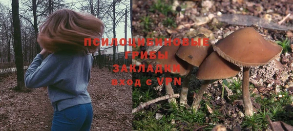 первитин Верея