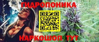 хмурый Боровичи