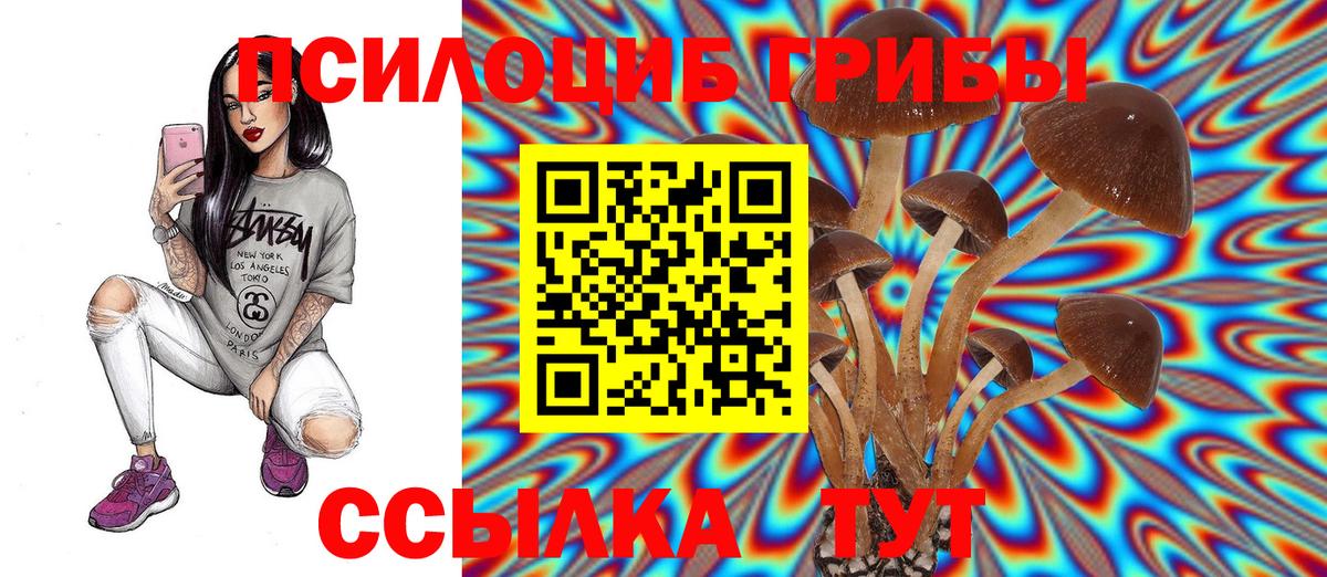Мончегорск  Псилоцибиновые грибы Magic Shrooms  наркотики  Вход с VPN 